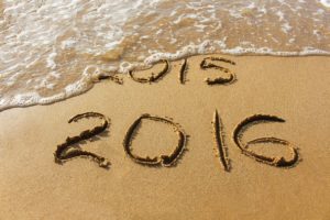 2015 Year in Review