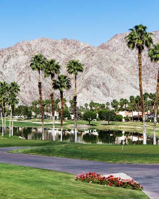 SEM Palm Springs