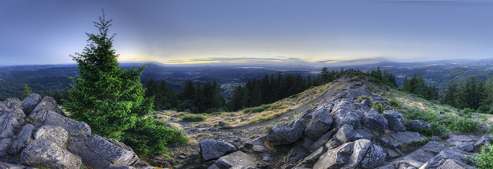 Eugene Business Marketing