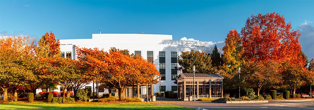 Salem OR Marketing Company