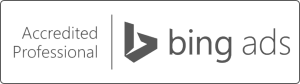 Bing Partner