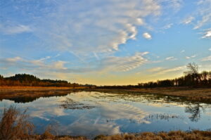 Reflection