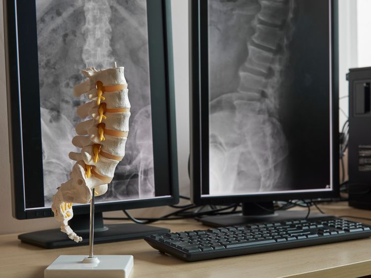 Chiropractic Marketing Services