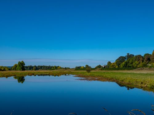 Ridgefield